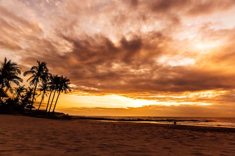 On the beach, sun loungers, beach umbrellas, beach towels