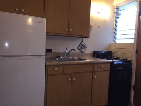 Family Apartment, 1 Bedroom, Kitchen | Private kitchen | Fridge, microwave, stovetop, coffee/tea maker