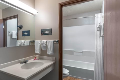 Combined shower/tub, free toiletries, hair dryer, towels