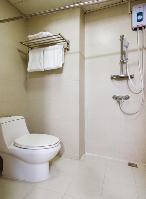 Shower, free toiletries, bidet, towels