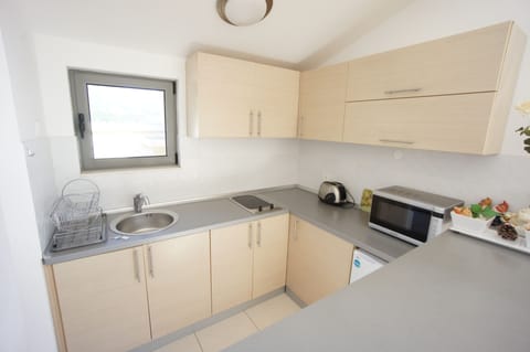 Apartment, 1 Bedroom | Private kitchenette | Stovetop, electric kettle, cookware/dishes/utensils, paper towels