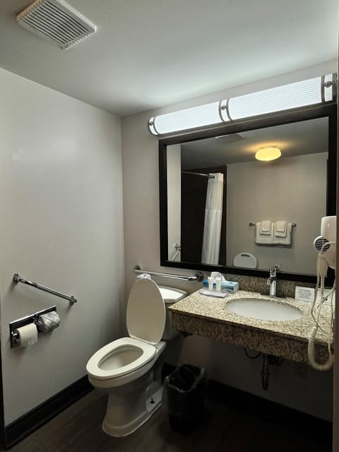 Room, 1 King Bed, Accessible, Non Smoking (Roll-in Shower) | Bathroom | Combined shower/tub, free toiletries, hair dryer, towels