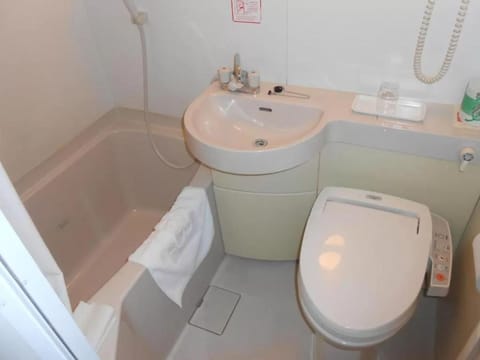 Combined shower/tub, hair dryer, slippers, electronic bidet
