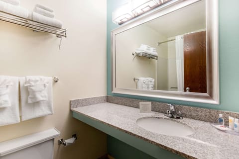 Combined shower/tub, free toiletries, hair dryer, towels