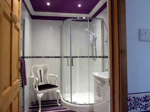 Suite, Ensuite (Welsh Mountain) | Bathroom shower