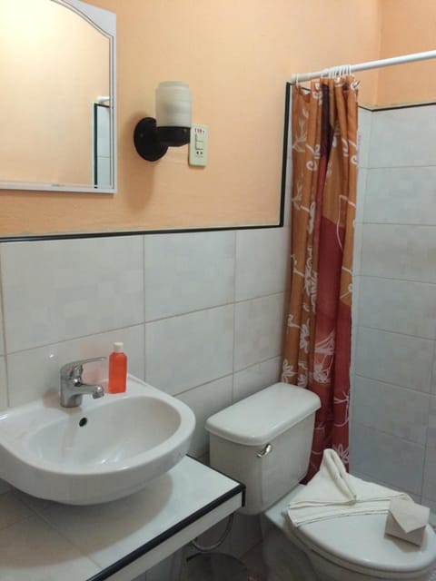 Shower, free toiletries, hair dryer, bidet