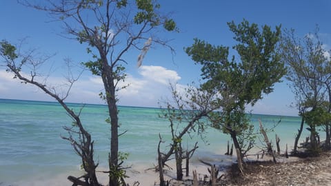 Beach shuttle