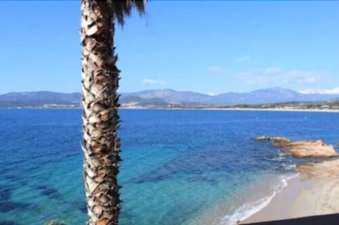 On the beach, sun loungers, beach umbrellas