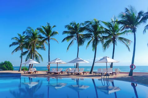 Outdoor pool, sun loungers