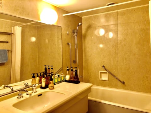 Separate tub and shower, deep soaking tub, free toiletries, hair dryer