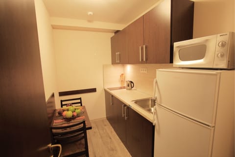 Deluxe Double Room | Private kitchen | Fridge, microwave, stovetop, electric kettle