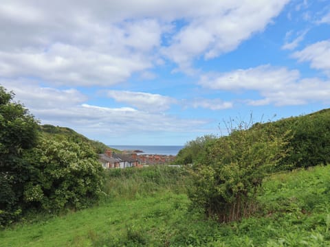 Cottage | Miscellaneous