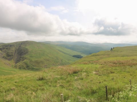 Cottage | Miscellaneous