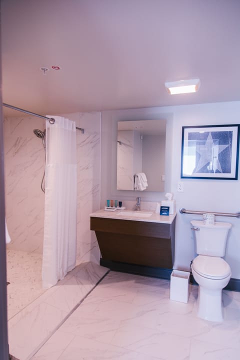 Queen Accessible Deluxe Suite | Bathroom | Shower, hair dryer, towels, soap