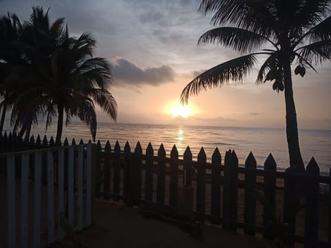 Standard Single Room, 1 Queen Bed | Beach/ocean view