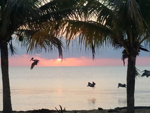 Standard Double Room | Beach | Private beach, white sand, beach volleyball