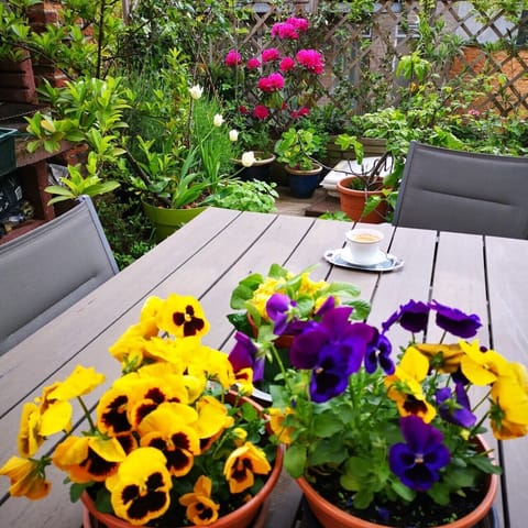 In-room safe, iron/ironing board, free WiFi