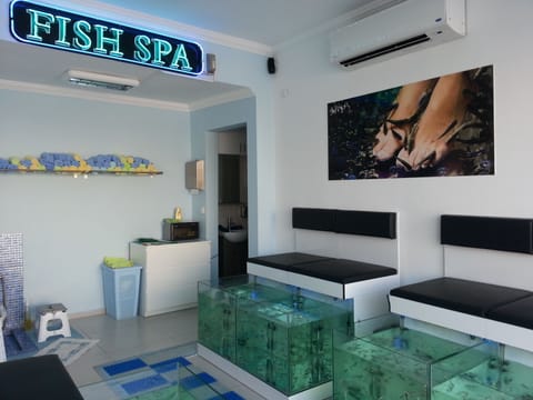 Body treatments, facials, manicures and pedicures