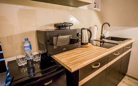 Deluxe Apartment | Private kitchenette | Fridge, electric kettle, highchair