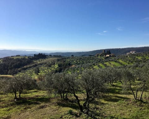 Land view from property