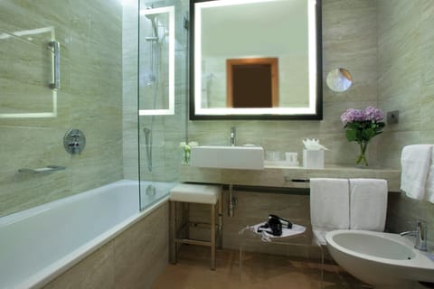 Hair dryer, bidet, towels