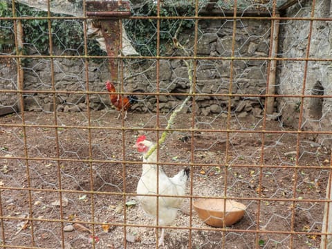 Cottage | Bathroom | Shower