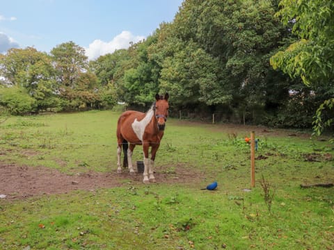 Cottage | Property grounds