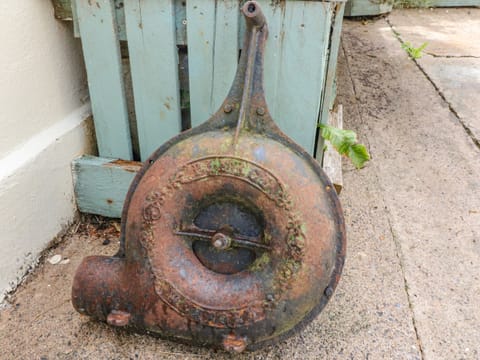 Cottage | Property grounds