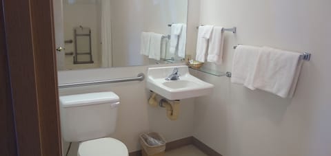 Standard Room, 1 Bedroom, Accessible, Private Bathroom (Handicap Accessible King Suite) | Bathroom | Hair dryer, towels