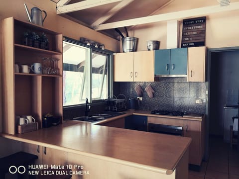 Family Cottage, 3 Bedrooms, Mountain View, Mountainside | Private kitchen | Fridge, microwave, stovetop, electric kettle