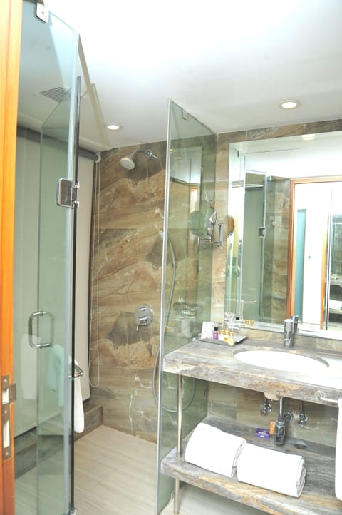 Deluxe room | Bathroom | Shower, free toiletries, hair dryer, bathrobes