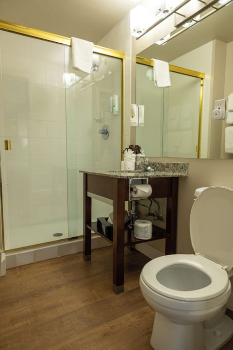 Suite, 1 Queen Bed with Sofa bed, Non Smoking | Bathroom | Free toiletries, hair dryer, towels