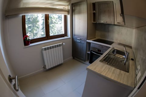 Deluxe Apartment | Private kitchen | Oven, stovetop, electric kettle, cookware/dishes/utensils