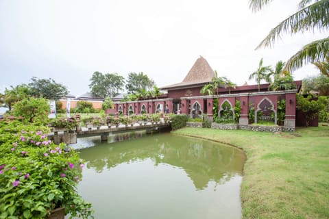 Body treatments, aromatherapy, Thai massages, body scrubs, facials