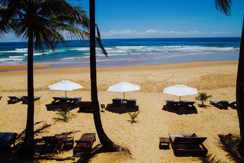 On the beach, white sand, sun loungers, beach umbrellas