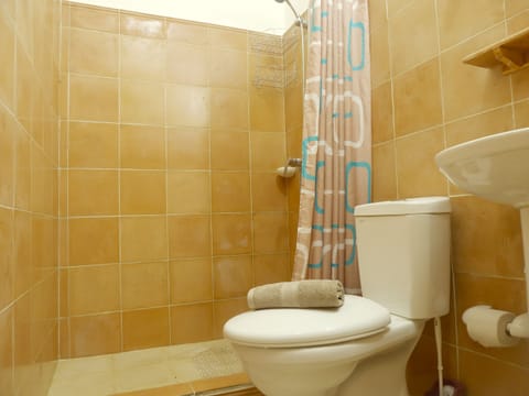 Classic Double Room | Bathroom | Shower, towels, soap, toilet paper