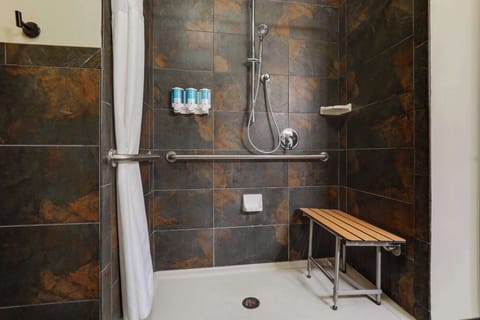 Combined shower/tub, free toiletries, hair dryer, towels