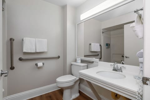 Suite, 1 King Bed | Bathroom | Free toiletries, hair dryer, towels