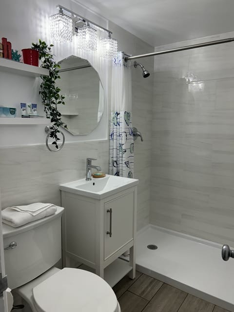 Combined shower/tub, free toiletries, hair dryer, towels