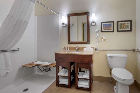 Combined shower/tub, free toiletries, hair dryer, towels