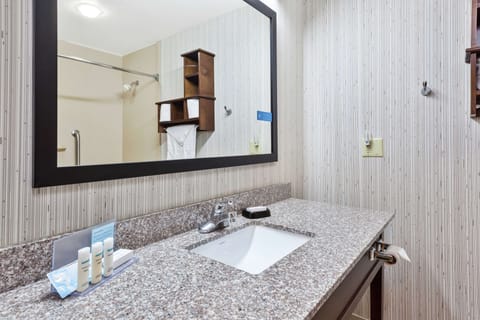 Standard Room, 1 King Bed, Refrigerator & Microwave | Bathroom | Free toiletries, hair dryer, towels