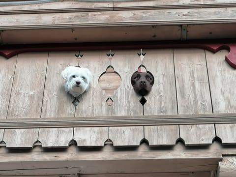 Apartment | Interior detail