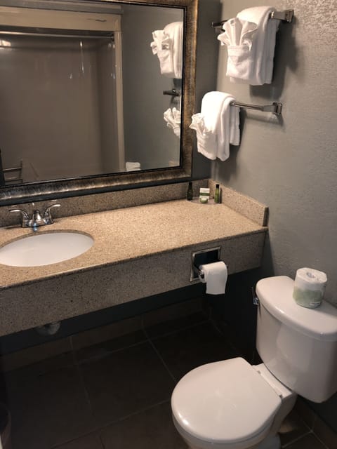 Business Room | Bathroom