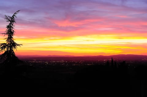 Standard Double Room Single Use | View from room