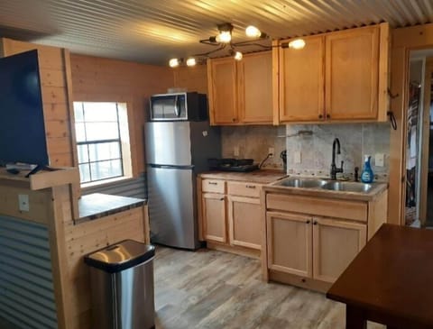 Premium Cabin | Private kitchen | Fridge, microwave, coffee/tea maker, freezer