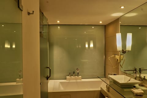 Deluxe Room | Bathroom | Shower, rainfall showerhead, free toiletries, hair dryer