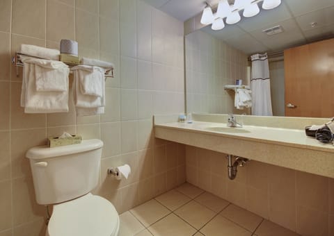 Combined shower/tub, free toiletries, hair dryer, towels