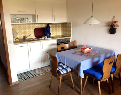 Apartment, 2 Bedrooms, Mountain View | Private kitchen | Fridge, microwave, oven, stovetop