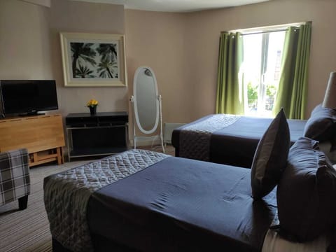 Deluxe Double Room (Room 4) | Desk, iron/ironing board, free WiFi, bed sheets