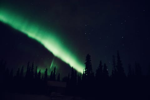 Bear Cabin with Hot tub | View from room